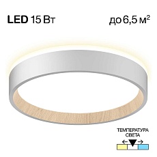 Потолочный светодиодный светильник Citilux Etalon CL750180