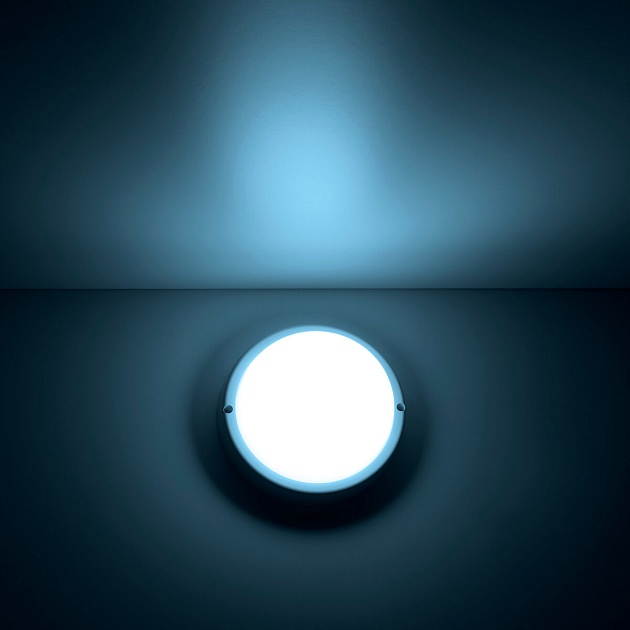 Потолочный светодиодный светильник Gauss Сауна 126411308 фото 7