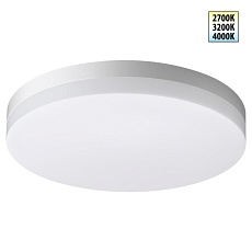 Уличный потолочный светильник Novotech Opal Street 359728
