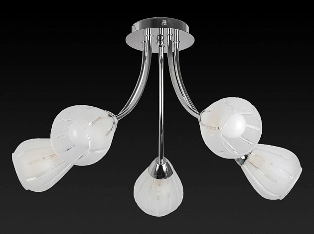 Потолочная люстра Toplight Fay TL3660X-05CH Фото № 2