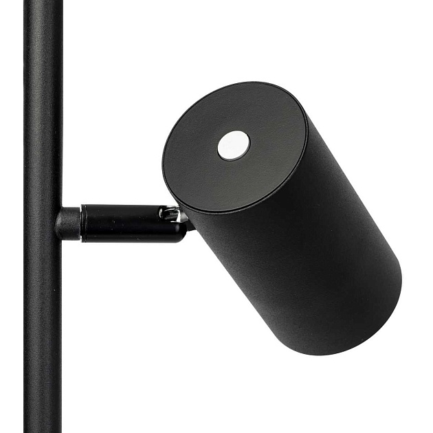 Торшер Citilux CL809011N изображение 2 Торшер Citilux CL809011N Фото № 2