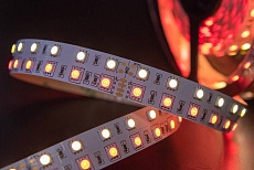 Светодиодная лента SWG 28,8W/m 120LED/m 5050SMD RGB/ теплый белый 5M 901044 5