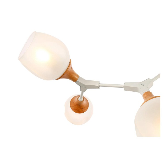Потолочная люстра Evoluce Ciotolla SLE113502-05 изображение 3 Потолочная люстра Evoluce Ciotolla SLE113502-05 Фото № 3