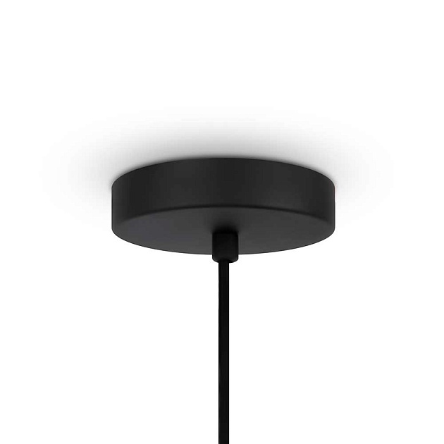 Подвесной светильник Maytoni Modern Roots MOD197PL-01W2 Фото № 2