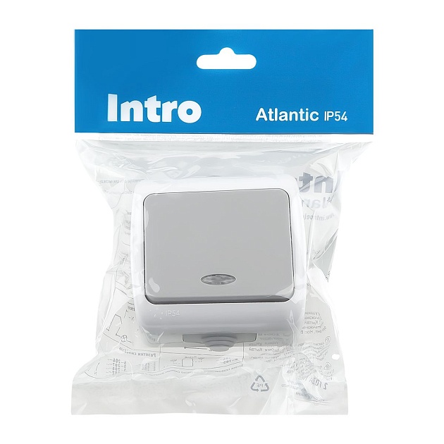 Выключатель одноклавишный ЭРА Intro Atlantic 10AX 250V с подсветкой 5-102-03 Б0050941 фото 2