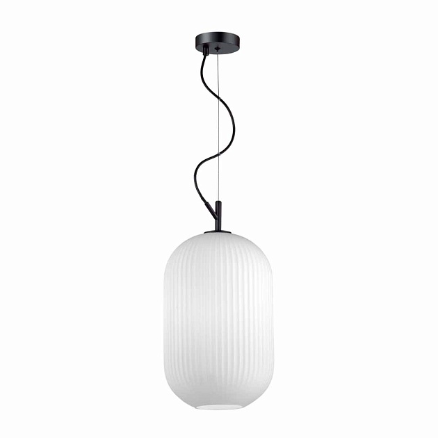 Подвесной светильник Odeon Light Pendant Roofi 4752/1 Фото № 5