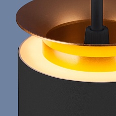 Подвесной светодиодный светильник Elektrostandard DLS021 9+4W 4200К черный матовый/золото a045504 1