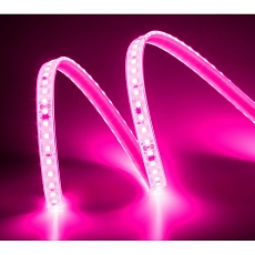 Лента светодиодная ELFLED 120SMD диодов (2835), 220В, IP67, 1м, розовый ELFLED-120SMD2835HVP