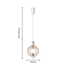 Подвесной светодиодный светильник Favourite Kolbe 4314-1P 1