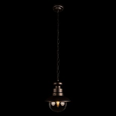 Уличный подвесной светильник Loft IT Piemonte 100022P 5