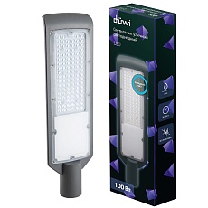 Уличный светодиодный светильник Duwi СКУ-04 100 Вт 25080 7 1