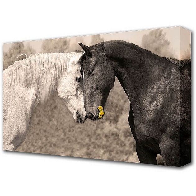 Холст Toplight 60х100х3см TL-H1050 Фото № 1