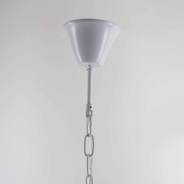 Люстра Imperium Loft 40.2087-0 84574-22 Фото № 6