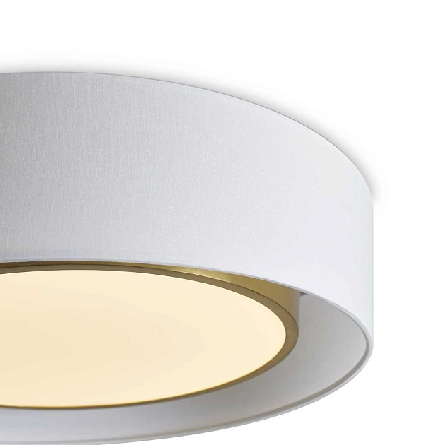 Потолочный светильник Freya FR6170CL-L52BS Фото № 3