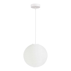 Подвесной светильник Evoluce Moon SLE6020-503-01
