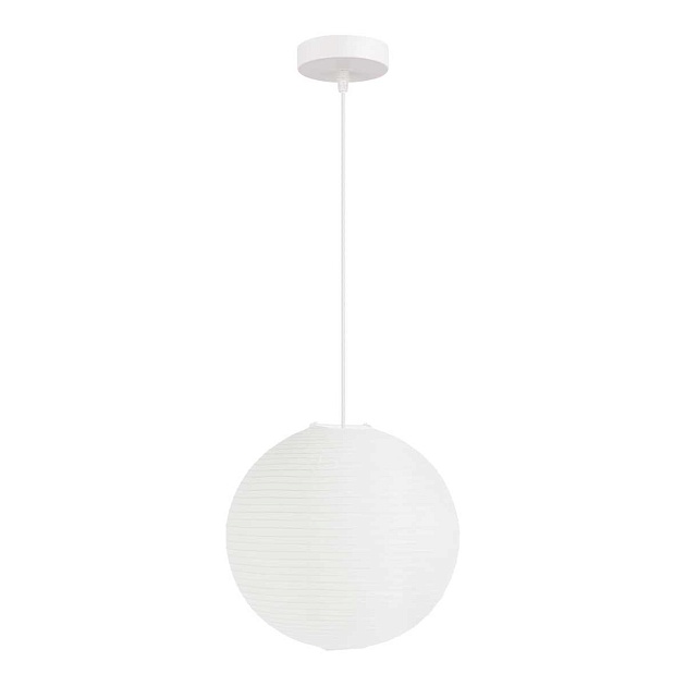 Подвесной светильник Evoluce Moon SLE6020-503-01 изображение 1 Подвесной светильник Evoluce Moon SLE6020-503-01 Фото № 1