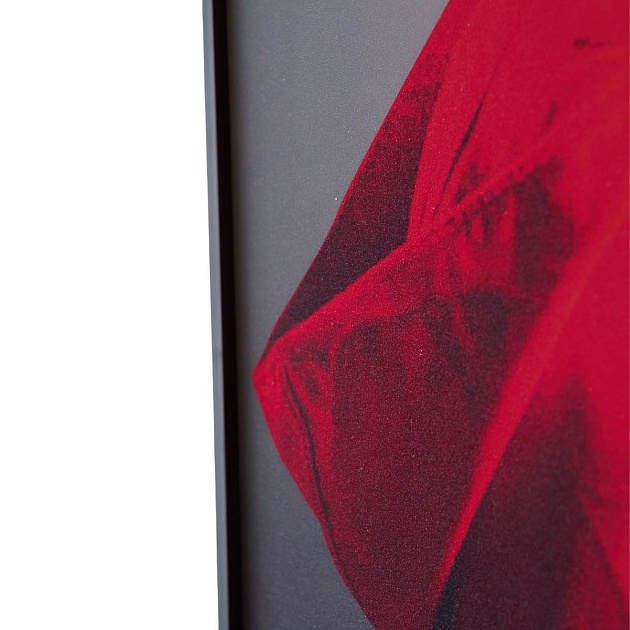 Картина Lumina Deco FP Red Hat 50-70 Фото № 5