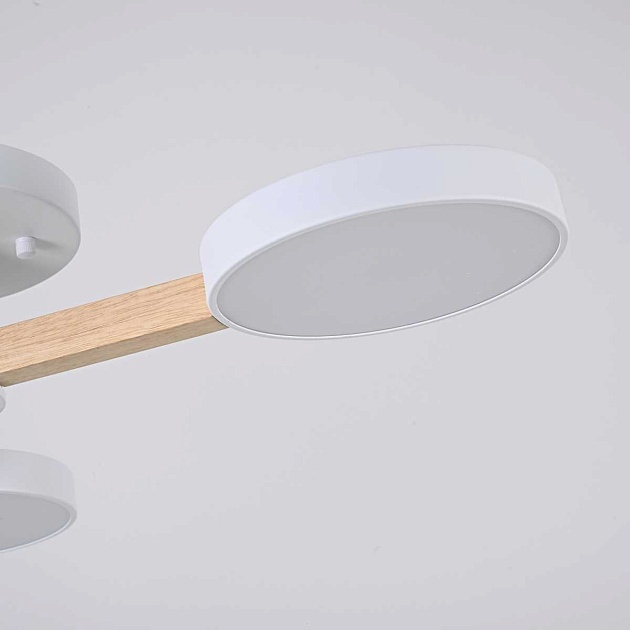 Потолочная люстра Imperium Loft Turna 102157-26 Фото № 6