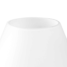 Настольная лампа Lightstar Meringe 801900 2