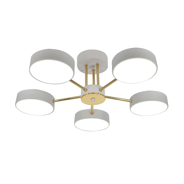 Потолочная светодиодная люстра Escada Rune 10262/5LED Фото № 1