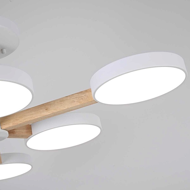 Потолочный светильник Imperium Loft TURNA-B01 141108-26 Фото № 5