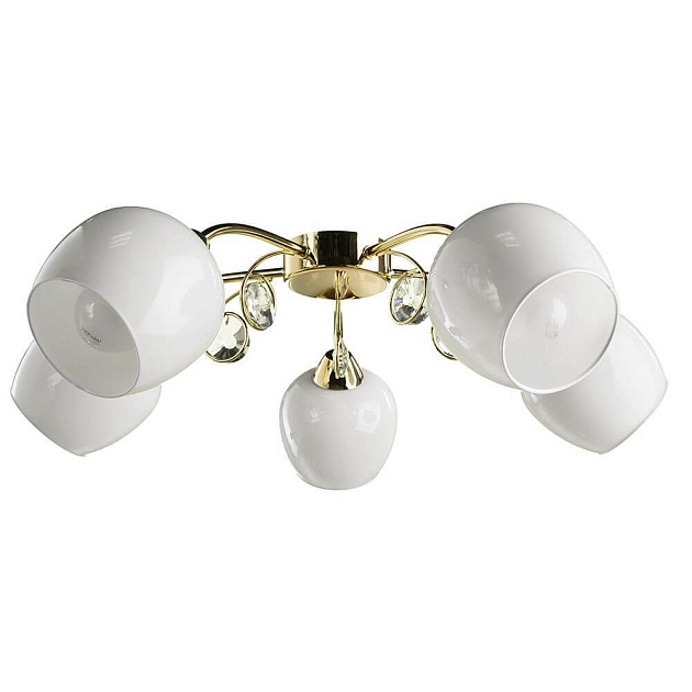 Потолочная люстра Arte Lamp Millo A9549PL-5GO Фото № 1