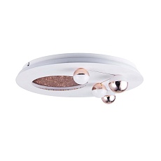 Потолочный светодиодный светильник Favourite Plaides 4630-4C 5