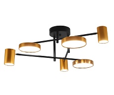 Потолочная светодиодная люстра Kink Light Рапис 07645-6D,19(20) 2