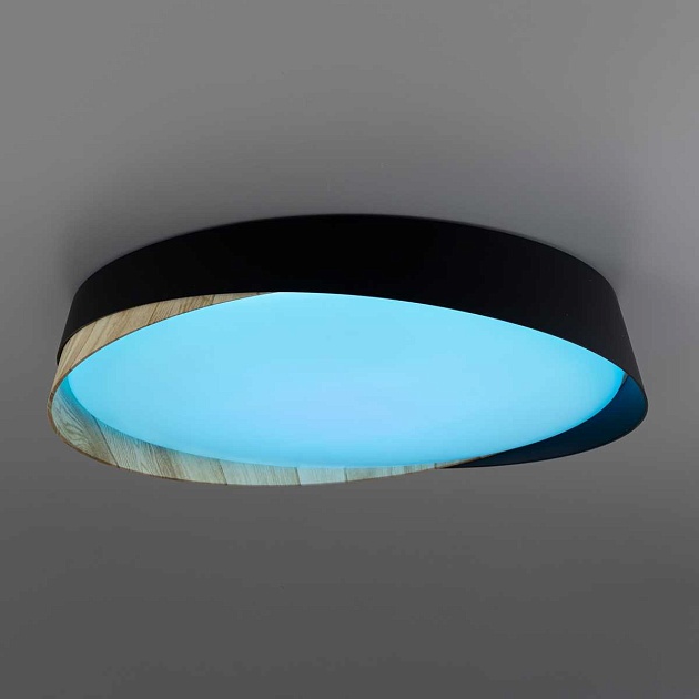 Светильник потолочный Citilux BONNY CL754351G Фото № 3