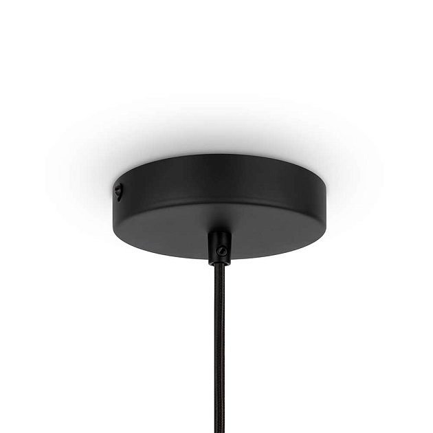 Подвесной светильник Maytoni Modern Roots MOD197PL-01W Фото № 4