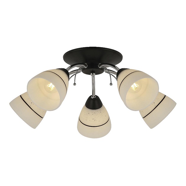 Потолочная люстра Toplight Winnifred TL1255D-05BC Фото № 1