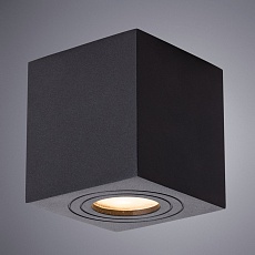 Потолочный светильник Arte Lamp Galopin A1461PL-1BK 1