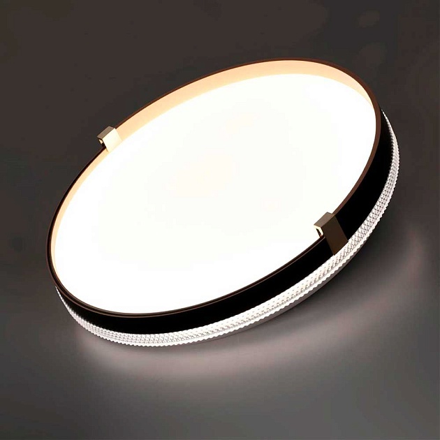 Настенно-потолочный светодиодный светильник Sonex Pale Olidi Black 7647/DL фото 3