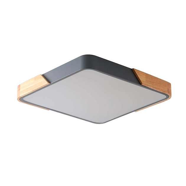 Потолочный светильник Zortes ALBERRO ZRS.01288.24 Фото № 1