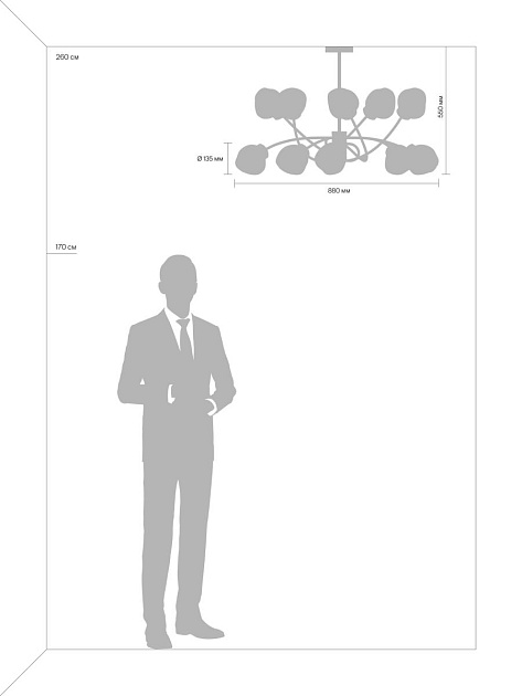 Люстра Freya FR8017PL-10MG изображение 14 Люстра Freya FR8017PL-10MG Фото № 14