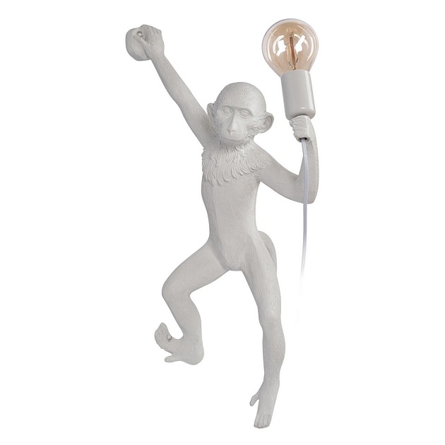 Настенный светильник Loft IT Monkey 10314W/B Фото № 1