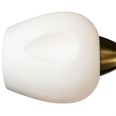 Потолочная люстра Arte Lamp Brighton A2706PL-5CK 1