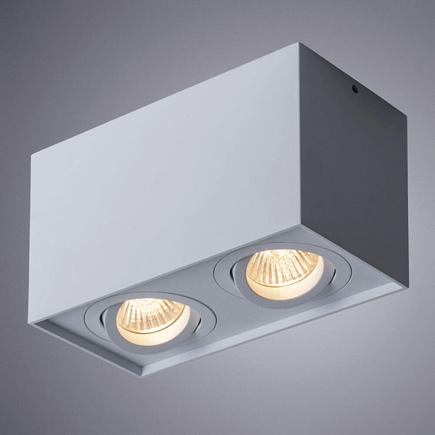 Потолочный светильник Arte Lamp Factor A5544PL-2WH Фото № 3