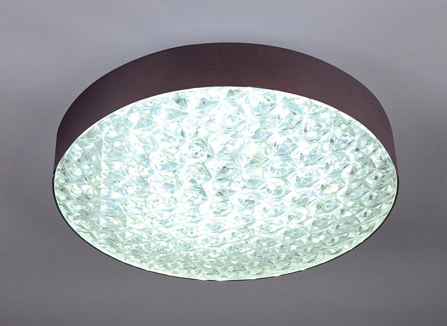 Потолочный светодиодный светильник Escada 10246/1LED Фото № 4