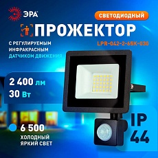 Прожектор светодиодный уличный ЭРА LPR-042-2-65K-030 Б0064234 3