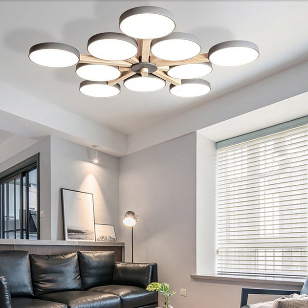 Потолочный светильник Imperium Loft TURNA-B01 228858-26 Фото № 6