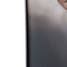Картина Lumina Deco FP Elephant 50-70 4