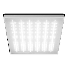 Потолочный светильник WOLTA STD ДВО11-54-002-6К