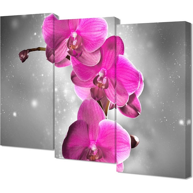 Модульная картина Toplight 100х150х3см TL-M3076 изображение 1 Модульная картина Toplight 100х150х3см TL-M3076 Фото № 1