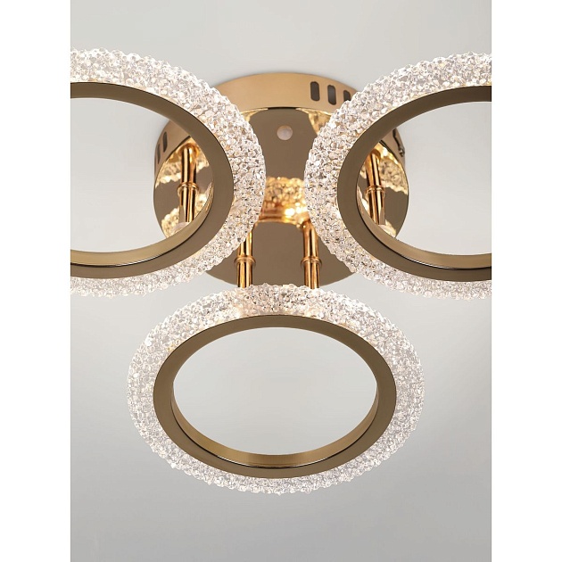 Потолочная светодиодная люстра Rivoli Evlalia 6178-703 Б0068399 Фото № 19