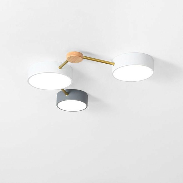 Потолочный светодиодный светильник Imperium Loft Solen 207842-26 Фото № 1