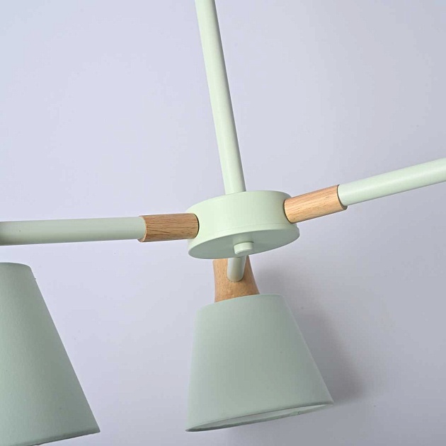 Подвесная люстра Imperium Loft Natura 101824-26 изображение 7 Подвесная люстра Imperium Loft Natura 101824-26 Фото № 7