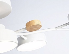 Потолочная светодиодная люстра Ambrella light Comfort LineTech FL4834 4