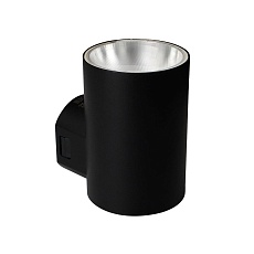 Уличный настенный светодиодный светильник Arte Lamp Alcyone A6109AL-1BK