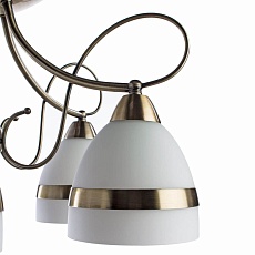 Потолочная люстра Arte Lamp 55 A6192PL-5AB 1